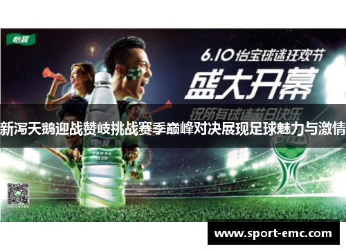 新泻天鹅迎战赞岐挑战赛季巅峰对决展现足球魅力与激情
